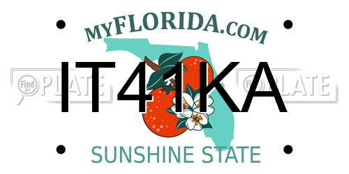 IT41KA Florida License Plate