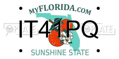 IT41PQ Florida License Plate
