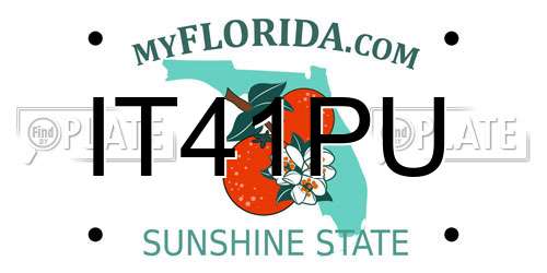 IT41PU Florida License Plate