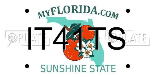 IT41TS Florida License Plate