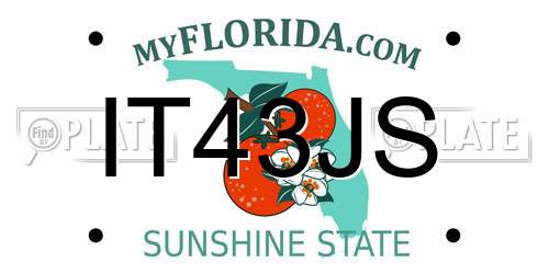 IT43JS Florida License Plate