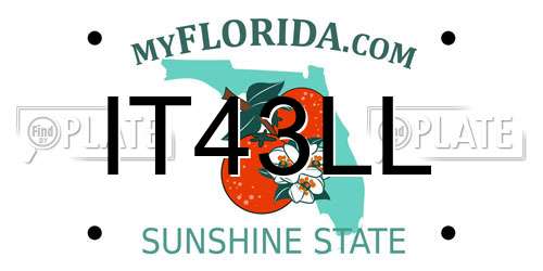 IT43LL Florida License Plate