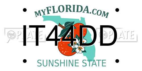 IT44DD Florida License Plate