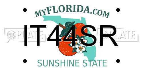 IT44SR Florida License Plate