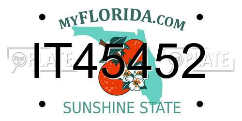 IT45452 Florida License Plate