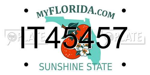 IT45457 Florida License Plate
