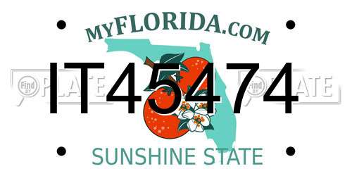 IT45474 Florida License Plate