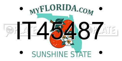IT45487 Florida License Plate