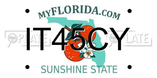 IT45CY Florida License Plate