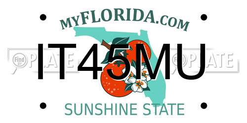 IT45MU Florida License Plate