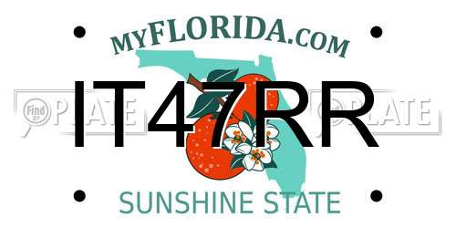 IT47RR Florida License Plate
