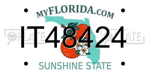 IT48424 Florida License Plate