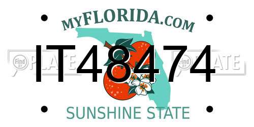 IT48474 Florida License Plate