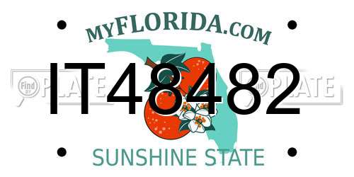IT48482 Florida License Plate