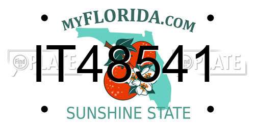 IT48541 Florida License Plate