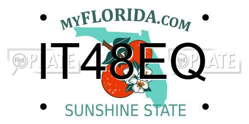 IT48EQ Florida License Plate