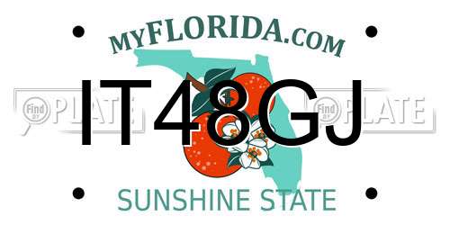 IT48GJ Florida License Plate