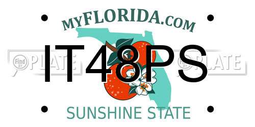 IT48PS Florida License Plate