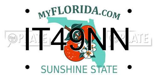 IT49NN Florida License Plate