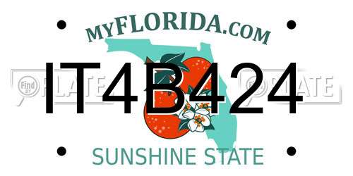 IT4B424 Florida License Plate
