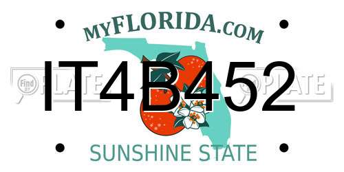 IT4B452 Florida License Plate