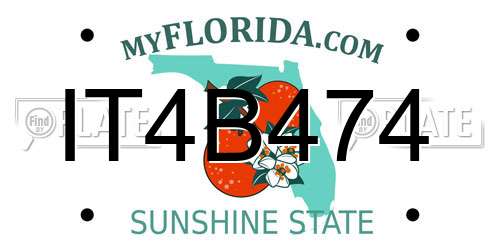 IT4B474 Florida License Plate