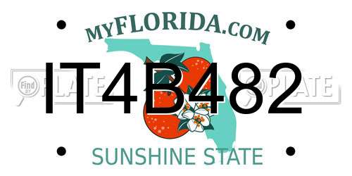 IT4B482 Florida License Plate