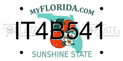 IT4B541 Florida License Plate