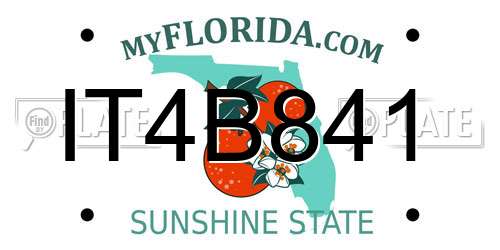 IT4B841 Florida License Plate