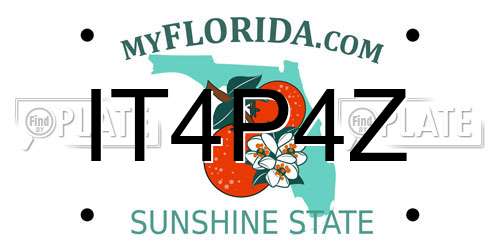 IT4P4Z Florida License Plate