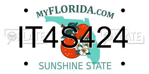IT4S424 Florida License Plate