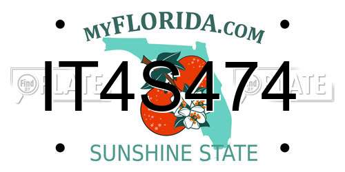 IT4S474 Florida License Plate