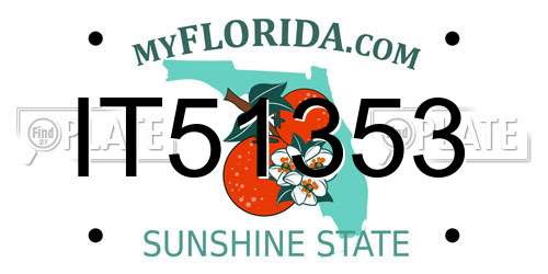 IT51353 Florida License Plate