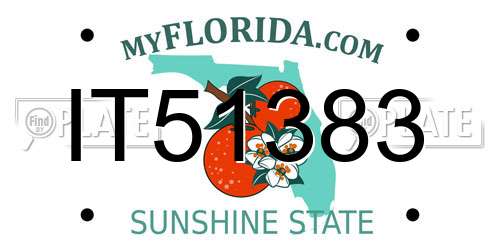IT51383 Florida License Plate