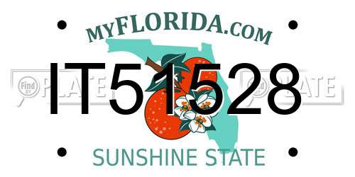 IT51528 Florida License Plate