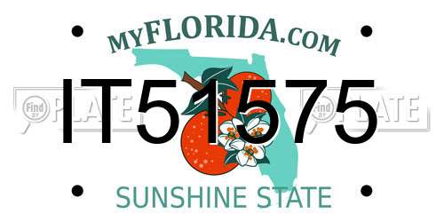 IT51575 Florida License Plate