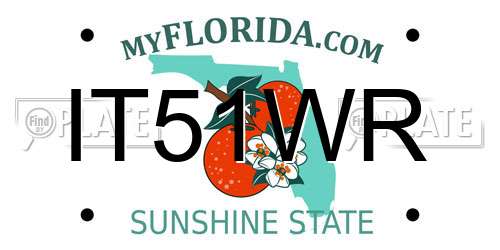 IT51WR Florida License Plate