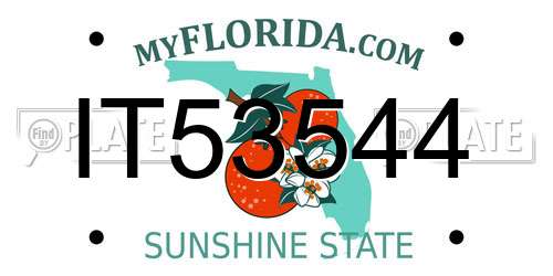 IT53544 Florida License Plate
