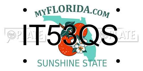 IT53QS Florida License Plate
