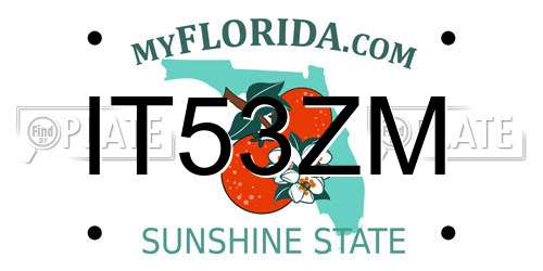 IT53ZM Florida License Plate