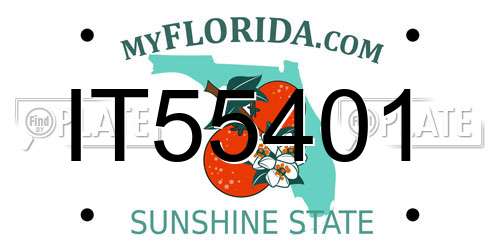 IT55401 Florida License Plate