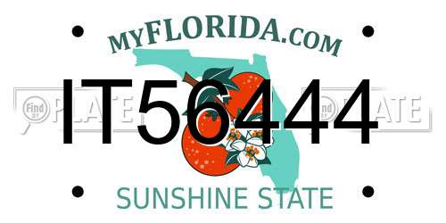 IT56444 Florida License Plate