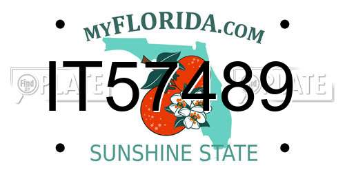 IT57489 Florida License Plate