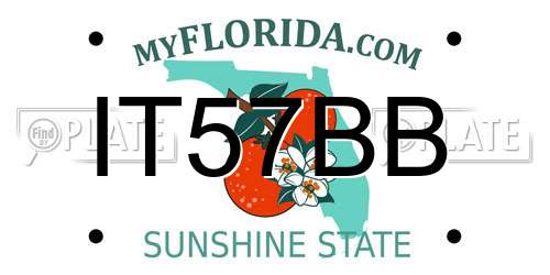 IT57BB Florida License Plate