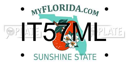 IT57ML Florida License Plate