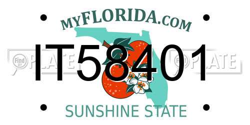 IT58401 Florida License Plate