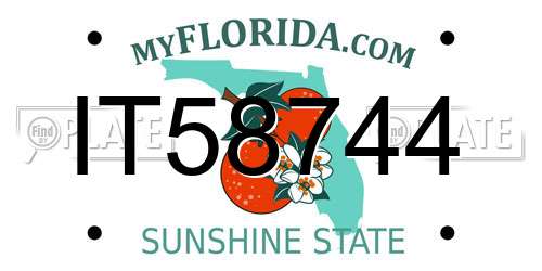 IT58744 Florida License Plate