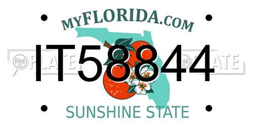 IT58844 Florida License Plate