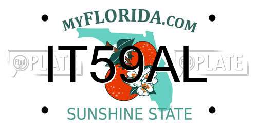 IT59AL Florida License Plate