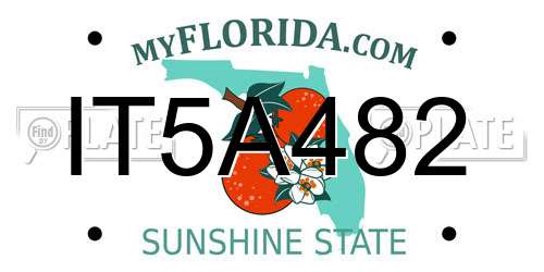 IT5A482 Florida License Plate